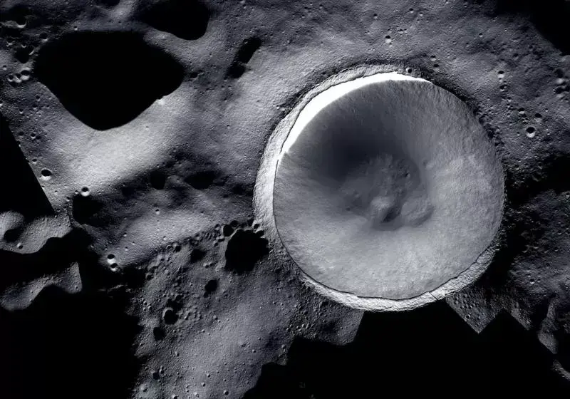 Ciupercile terestre, supraviețuitoare lângă Polul Sud lunar