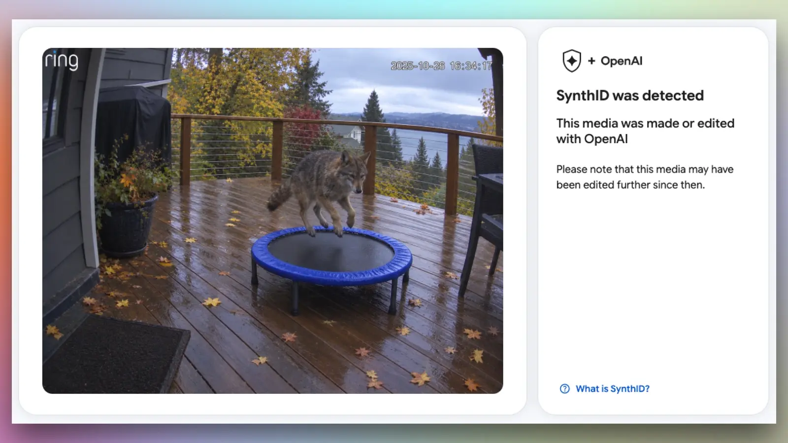 Google lansează SynthID Detector: Cum aflăm dacă o imagine este creată de AI?
