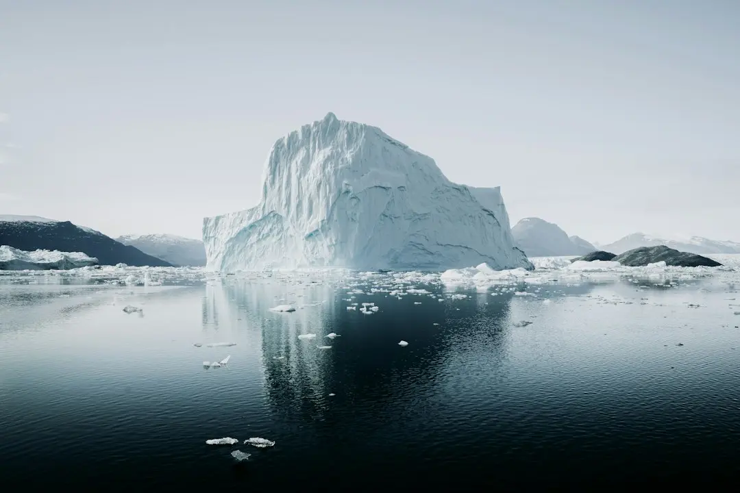 MSP și Iceberg+ lansează bootcamp 2026 pentru antreprenori și studenți